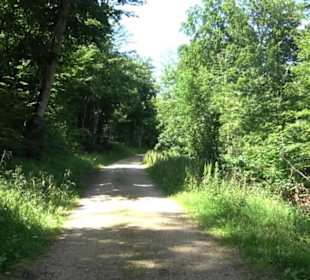 Naturerlebnispfad Sternberg