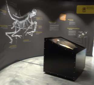 Dinosaurier Museum Altmühltal