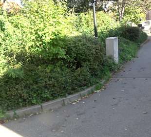 Katholische Pfarrkirche St. Stephanus Eutingen im 