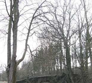 Blick in den Klostergarten