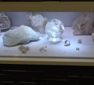 Museum für Naturkunde