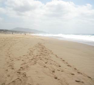 Endlos langer Strand von Piscinas