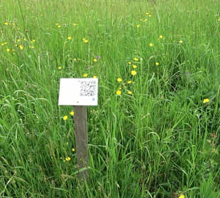 Wassertretanlage Frutenhof