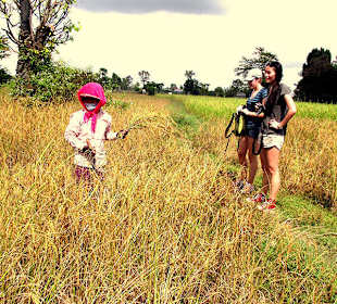 Countryside tour