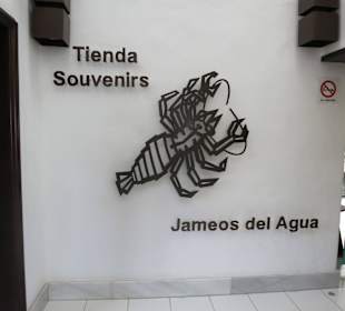 Gebaut von César Manrique