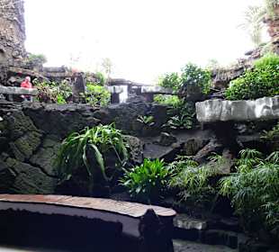  Jameos del Agua Cesar Manrique