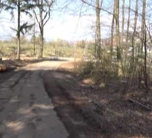 Wanderung Florianrunde