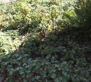 Rosengarten