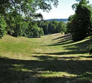 Das Veilchental des Hofgartens Coburg