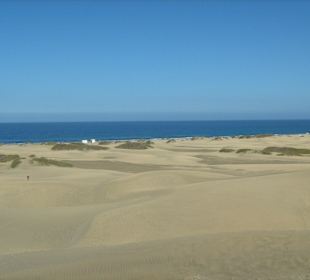 Blick auf die Dünenlandschaft