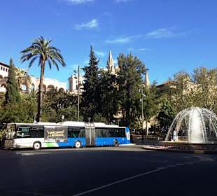 Palma Bushaltestelle Linie 25 am Kreisel 