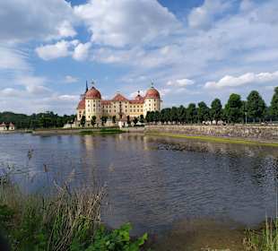 Schloss Moritzburg 
