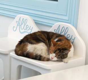 Altstadt Mykonos Stadt