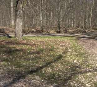 Geschichtlicher Lehrpfad Einsiedel