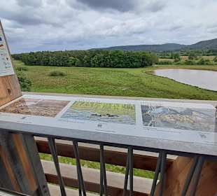 Kranichwoog Aussichtspunkt