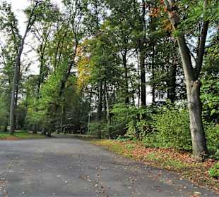 Rundgang durch den Stadtpark Versmold