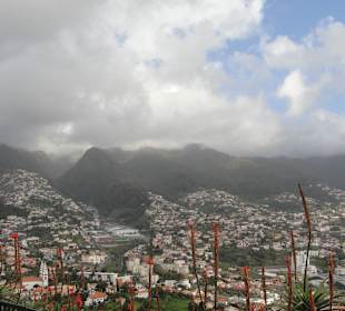 Вид на горы