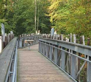 Impressionen vom Baumwipfelpfad Bad Iburg