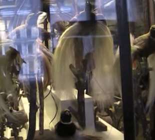 Naturhistorisches Museum