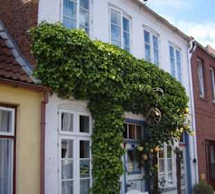 Ein Rundgang durch die "Rosenstadt" im Sommer 