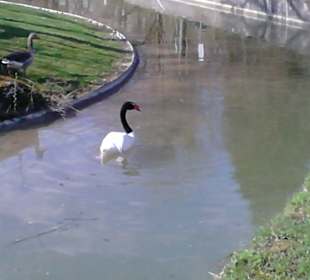 Tierpark Hellabrunn in München