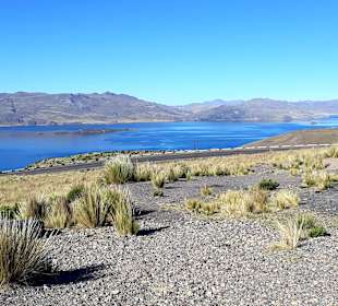 Laguna Lagunillas