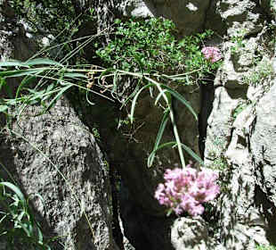 Klettergebiet Mazet-Plage