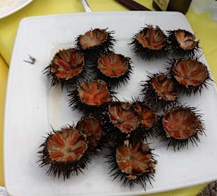 Ristorante Margherita Rimini vacanza holiday