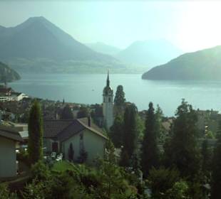 Schweiz - Vitznau - Vierwaldstätter See