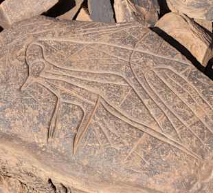 Ait Ouazik Petroglyphen
