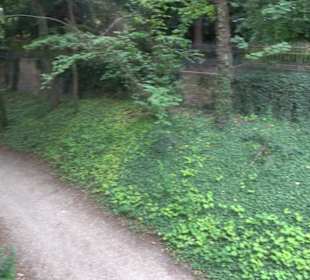 Schlosspark St. Emmeram