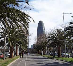 Sieht aus wie ein Cocoon