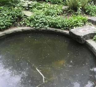 Alter Botanischer Garten