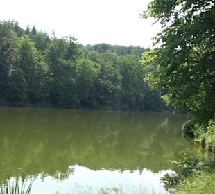 Naturerlebnispfad Klingenbach Steinenbronn