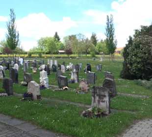 Friedhof