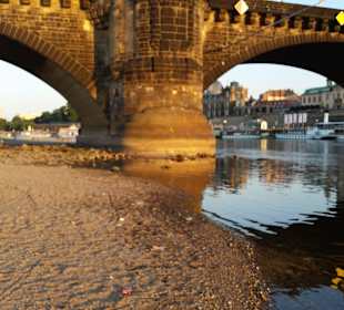 Elbe in Dresden im August 2015