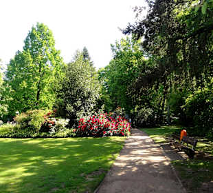 Spaziergang durch den Kurpark