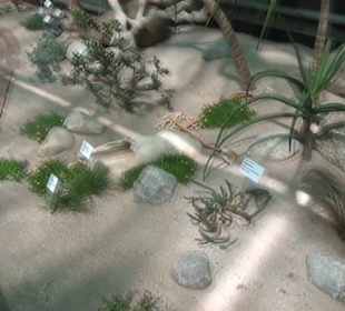 Afrikanische Landschaften