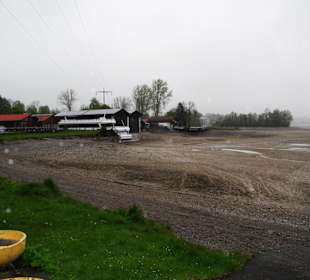 Forggensee ohne Wasser!