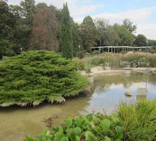 Ботанический сад