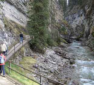 Noch ziemlich am Beginn