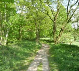 Naturschutzgebiet Boberger Niederung