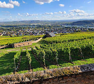 Wandern Rüdesheim am Rhein