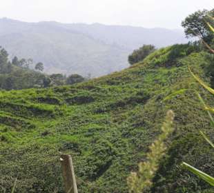 Dominikanische Alpenlandschaft