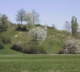 Monte Kik