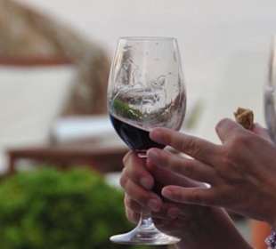 Greek Wines tasting by the beach