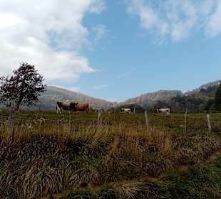 Wandern Rubiana