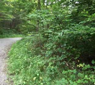 Sonnenaufgangs-Rundwanderung Rübgarten