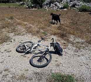 MTB-Tour zum Kamelberg