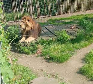 Zoologischer Garten Köln